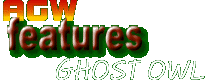 Features - Ghost Owl